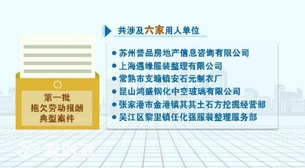 人社部门发布今年首批拖欠劳动报酬典型案件